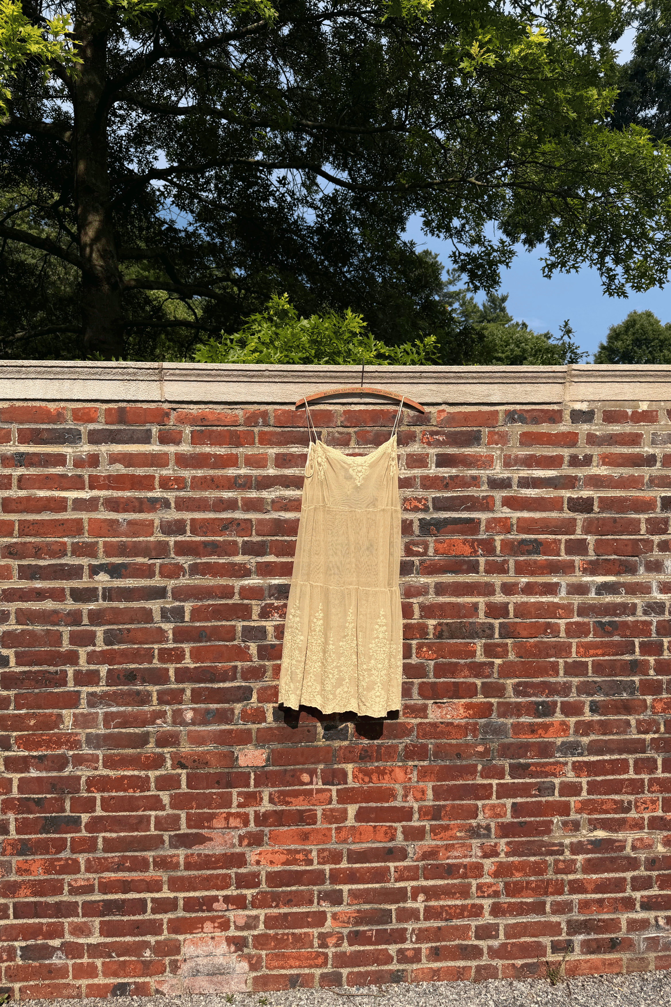 Vintage Cream Embroidered Mesh Camisole Mini Slip Dress | (S-L)
