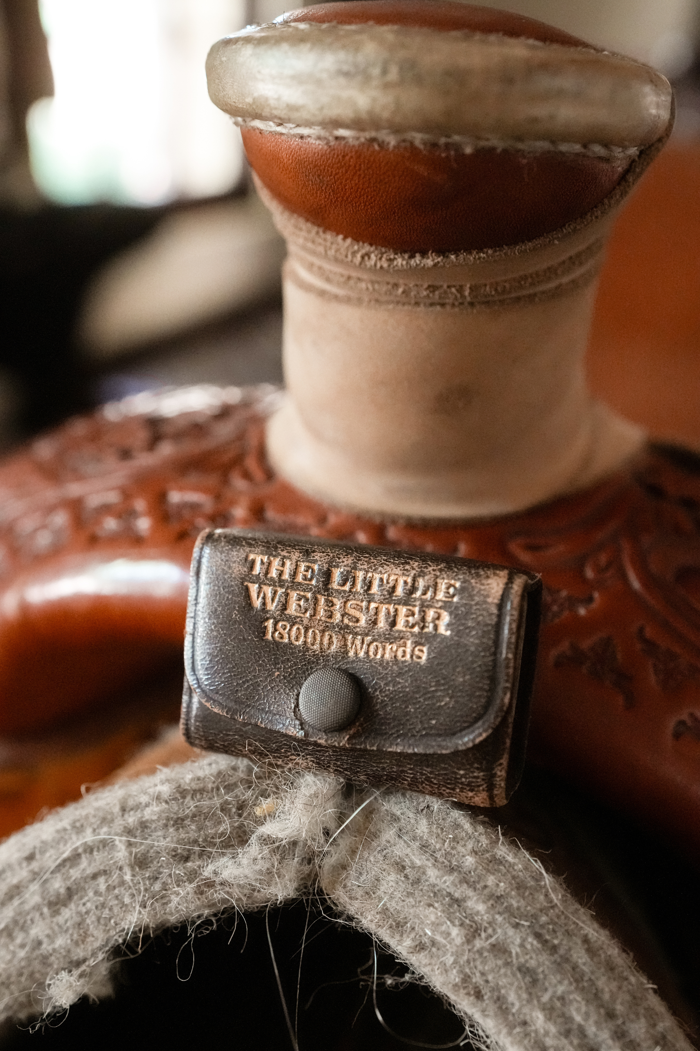Miniature Antique Webster Dictionary with Leather Snap Case