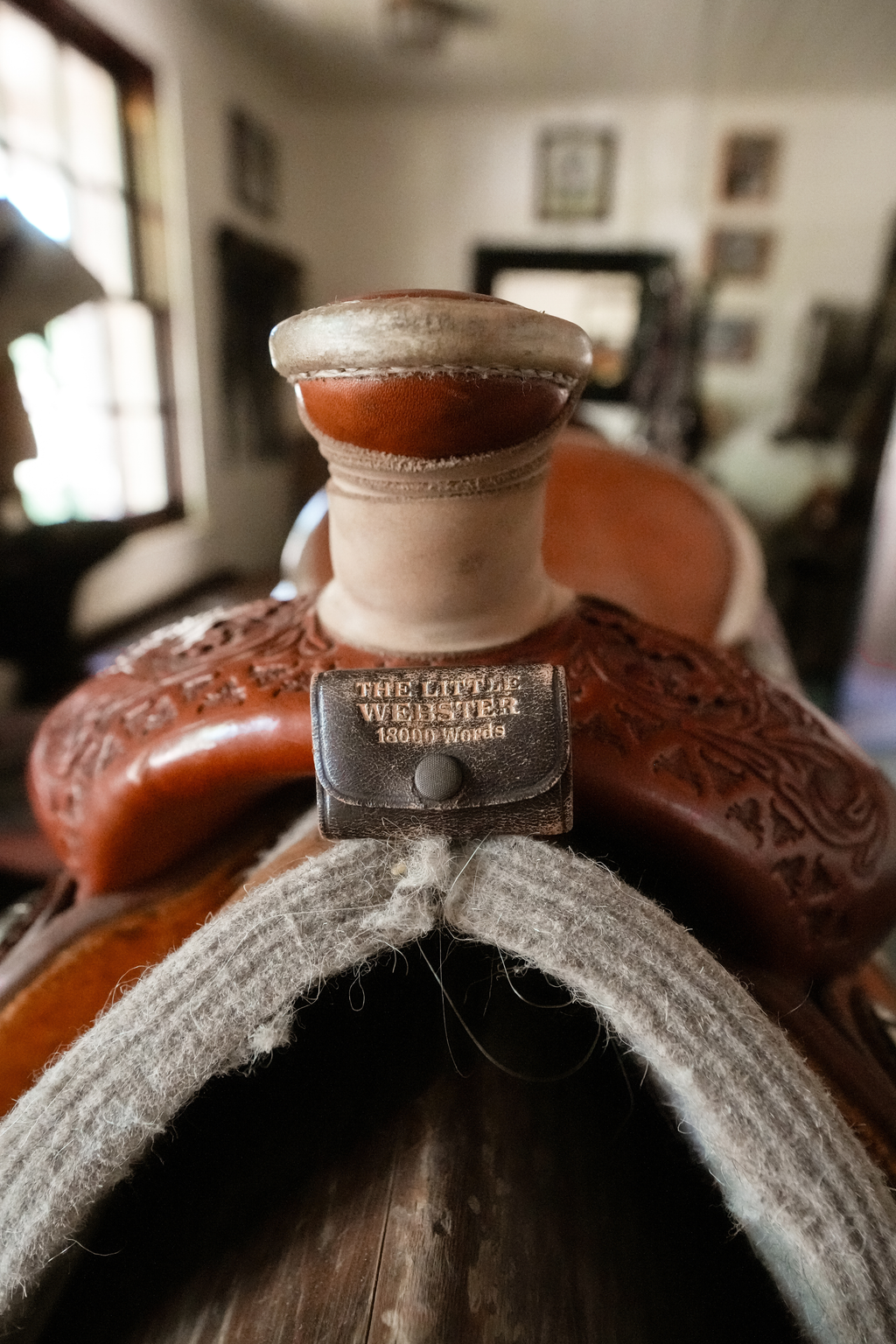 Miniature Antique Webster Dictionary with Leather Snap Case