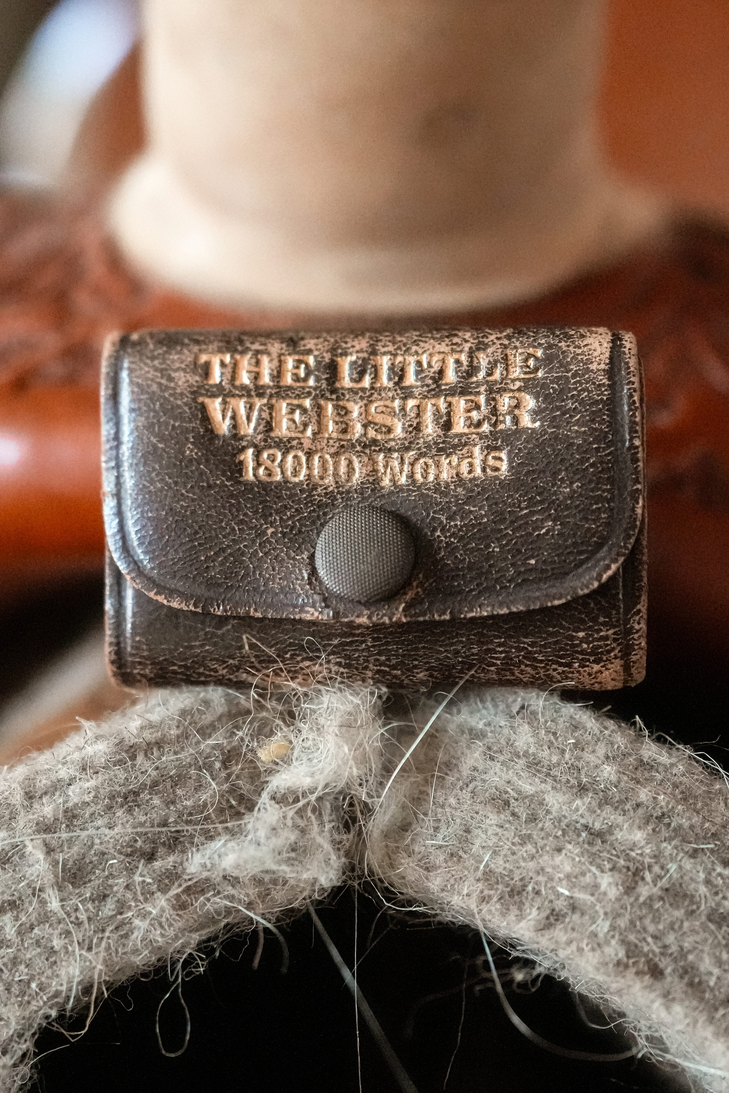 Antique miniature Webster’s dictionary with brown leather snap case
